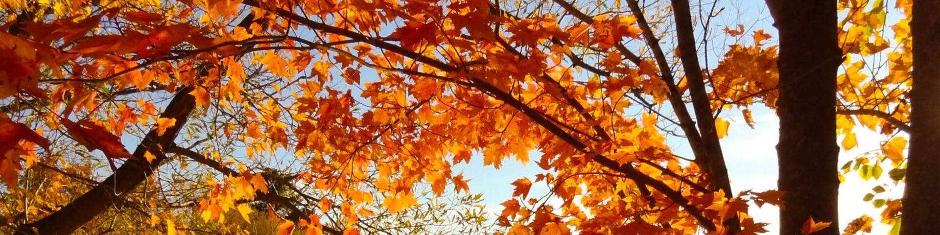 #localsecrets I grew up on this lake in Norrie Wis. My brother Charles grows the most juicy raspberries and I cant even mention the wine, man its delish