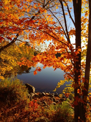 #localsecrets I grew up on this lake in Norrie Wis. My brother Charles grows the most juicy raspberries and I cant even mention the wine, man its delish
