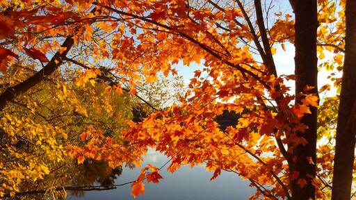 #localsecrets I grew up on this lake in Norrie Wis. My brother Charles grows the most juicy raspberries and I cant even mention the wine, man its delish