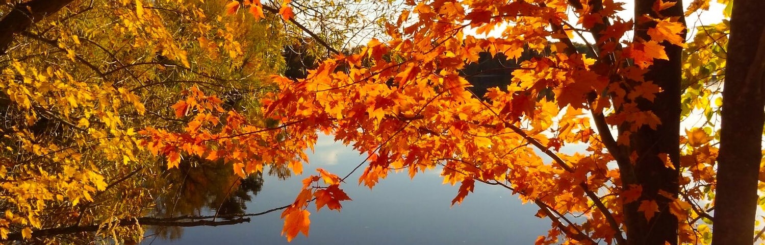#localsecrets I grew up on this lake in Norrie Wis. My brother Charles grows the most juicy raspberries and I cant even mention the wine, man its delish