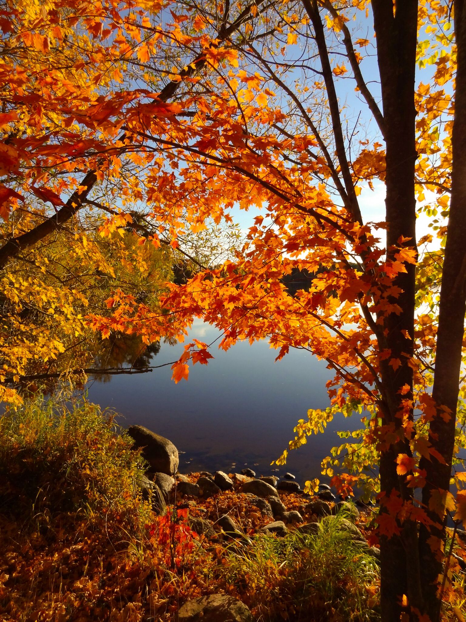 A serene lake surrounded by autumn foliage.