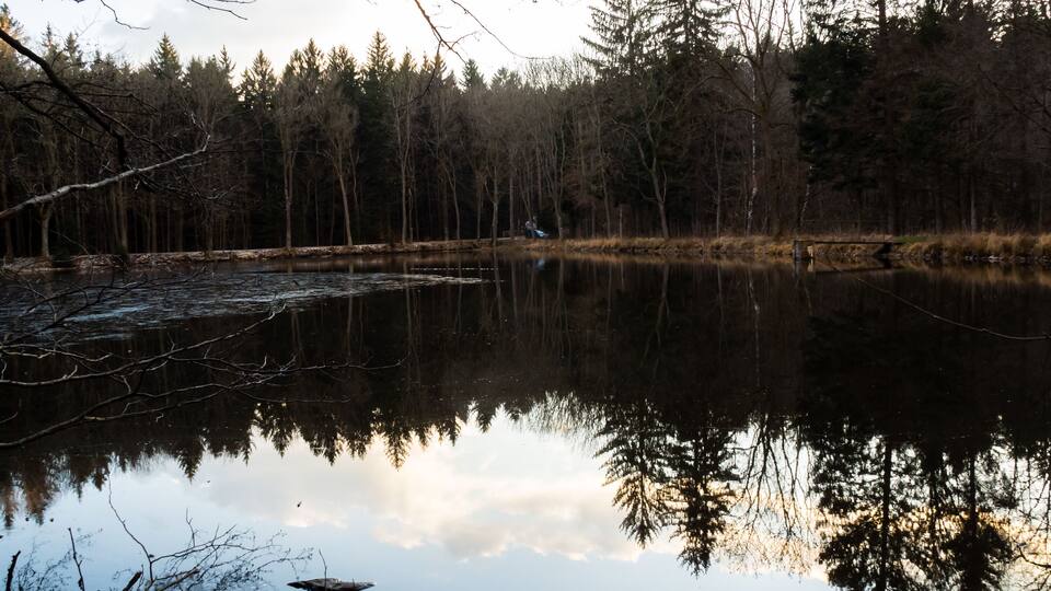 A calm lake surrounded by trees reflecting the sky.
