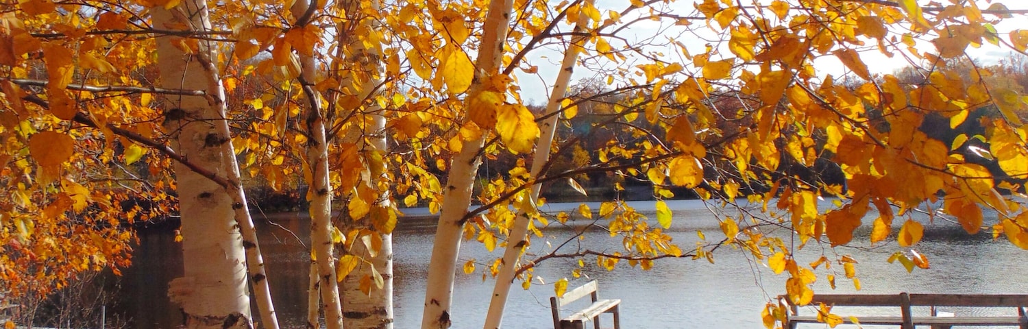 The Harrison Hills feature many small lakes and hills of maple and birch trees