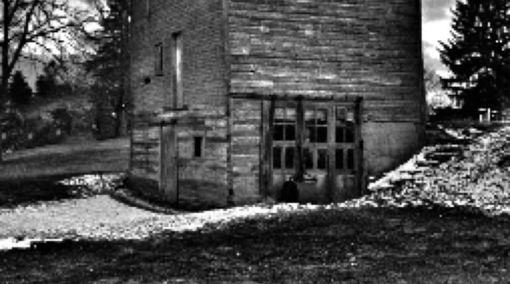 Came across this abandoned old barn across the river from the park we were visiting.
#abandoned #Michigan #PureMichigan #Barn #BlackandWhite