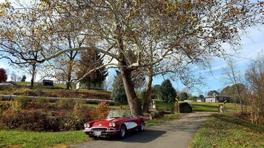 Just taking a drive on scenic "Triple Nickel" Ohio State Route 555.
