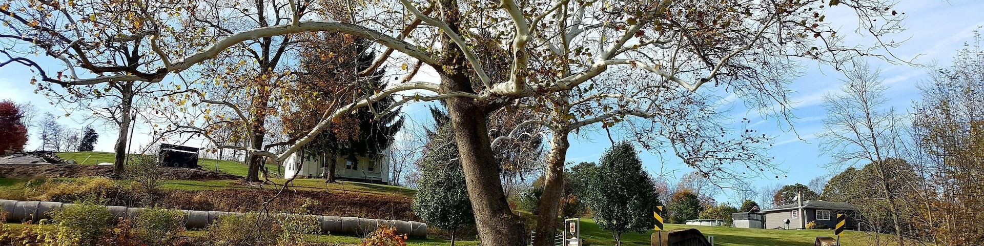 Just taking a drive on scenic "Triple Nickel" Ohio State Route 555.