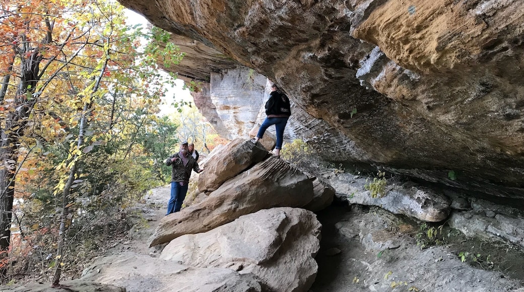 Beauty on the backroads.