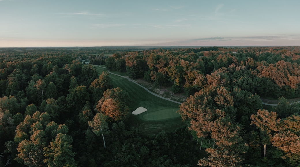 Aerial view of a green rural golf course in Otsego, Michigan