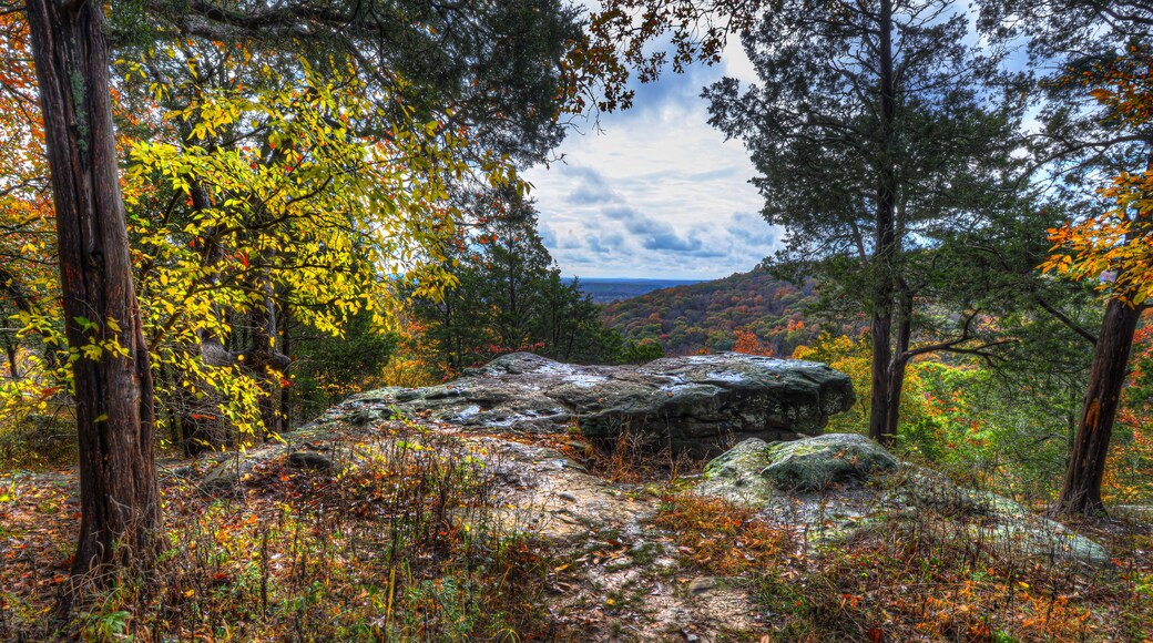 autumn in southern Illinois