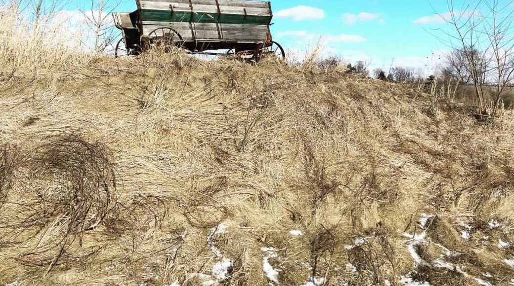 In the middle of Genowhere