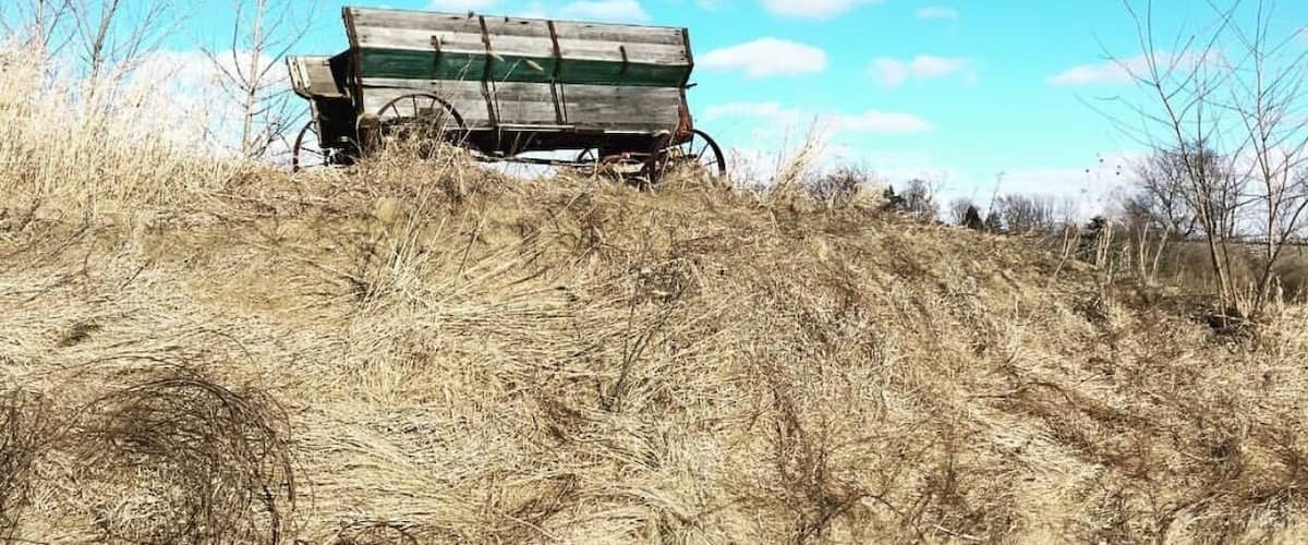 A wooden cart on a grassy hill with a clear blue sky.