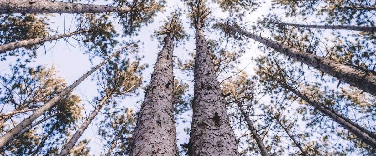 One my favorite shots from this cool spot!