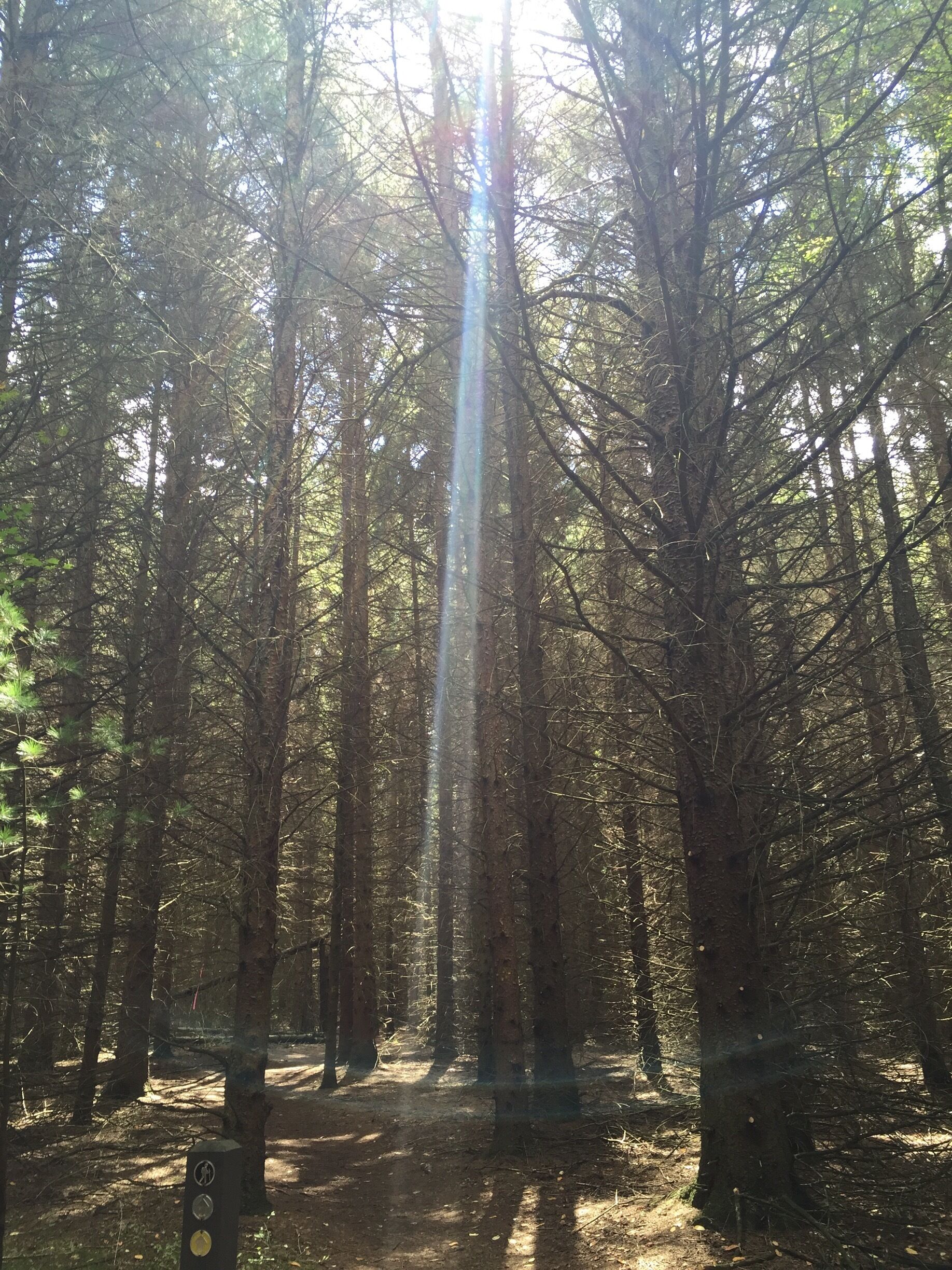 I love to bike through this beautiful metro park.