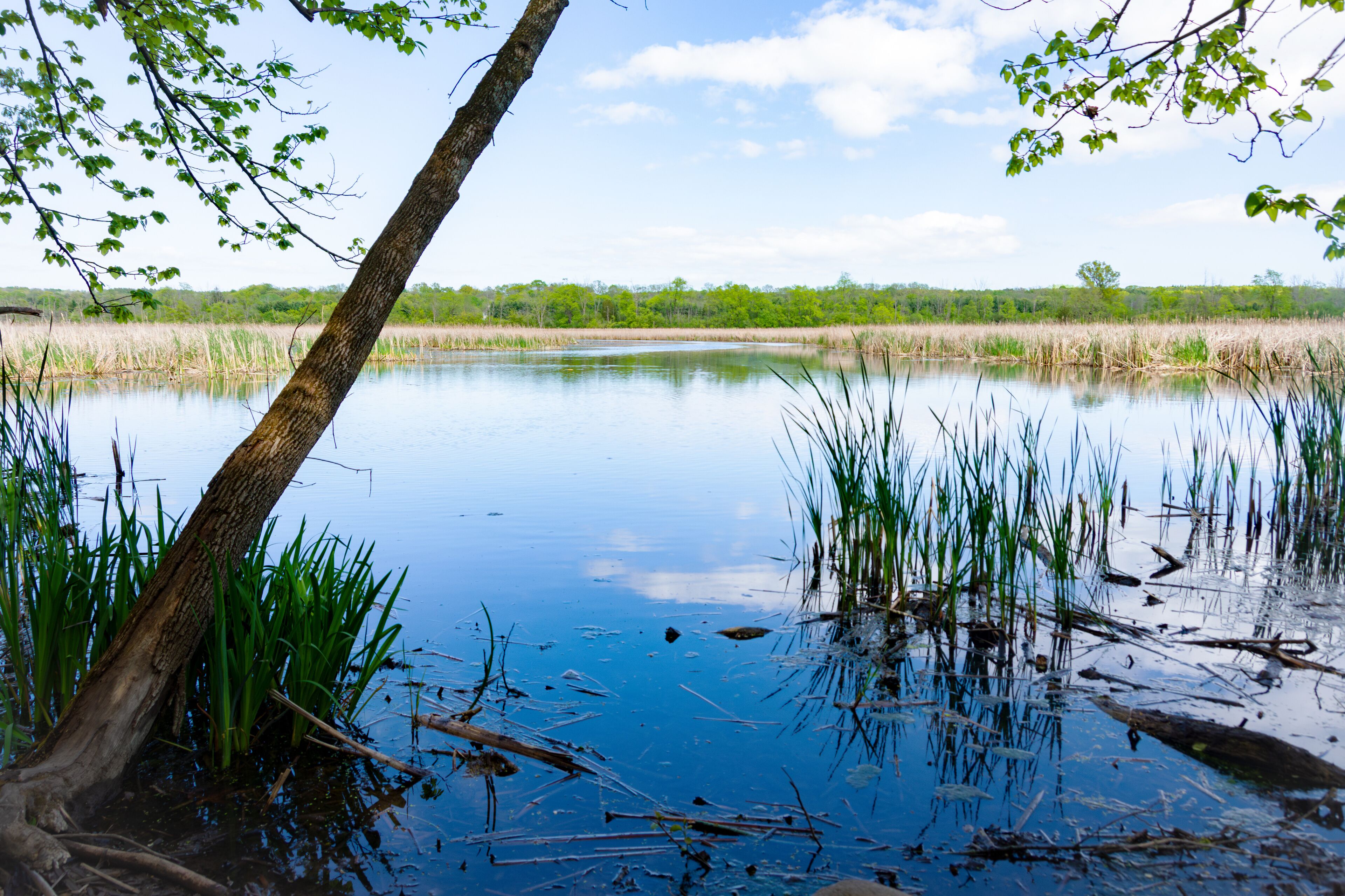 A tranquil May scene in Monches, Waukesha County, Wisconsin, featuring a serene lake surrounded by lush greenery.