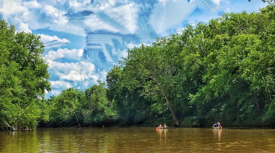 #river photo challenge
Canoeing on the Stillwater River in Miami County Ohio