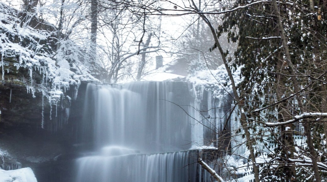 Amazingly beautiful waterfall in Ohio. One of the least talked about falls in the dayton area.
#BvSWater