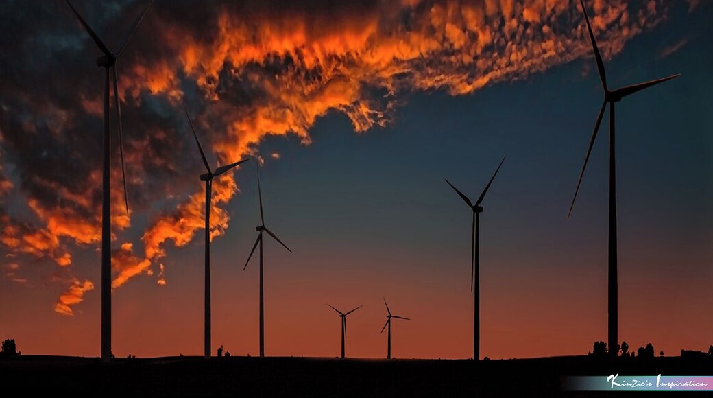 Sky's on Fire !! *A Beautiful Nature*
#McLean County
#Illinois
#USA
#Windmill
#Ellsworth
#Landscape
#Sunset
#Cloud
#Cloudscape
#Sky
Wind, fire and water are natural sources for power energy.. Opp sorry no water!! I couldn't find any river, pond and dam in this location. An unique sunset cloudscape formation eye catching at Twin Groves Wind Farm, McLean County Route 21 Ellsworth Illinois USA in changing seasons between autumn and winter.
Photo Licensed by iLOVEnature's Photography Inspiration l All rights reserved