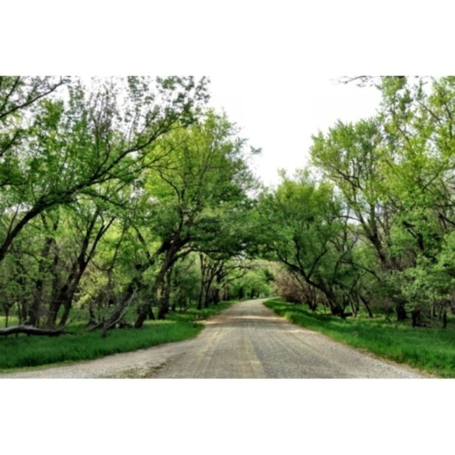 Large forested area along the Little Sioux River.