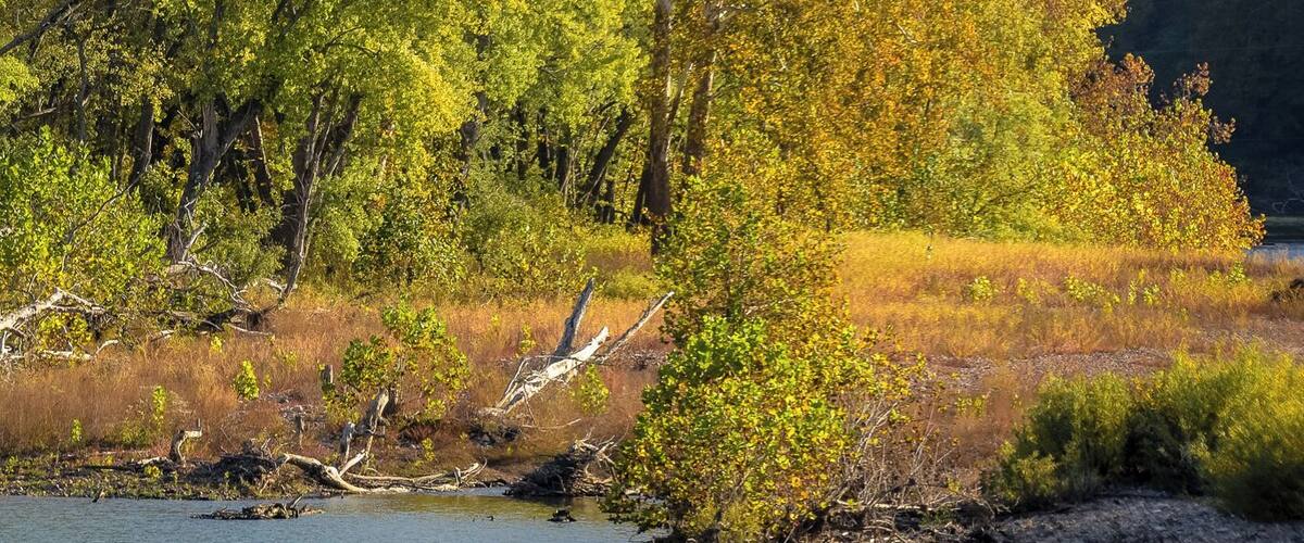 My wife and I like taking Sunday afternoon drives here in the Missouri Ozarks. She drives and I have my camera in hand. Fall is a great time of year. Nikon D750