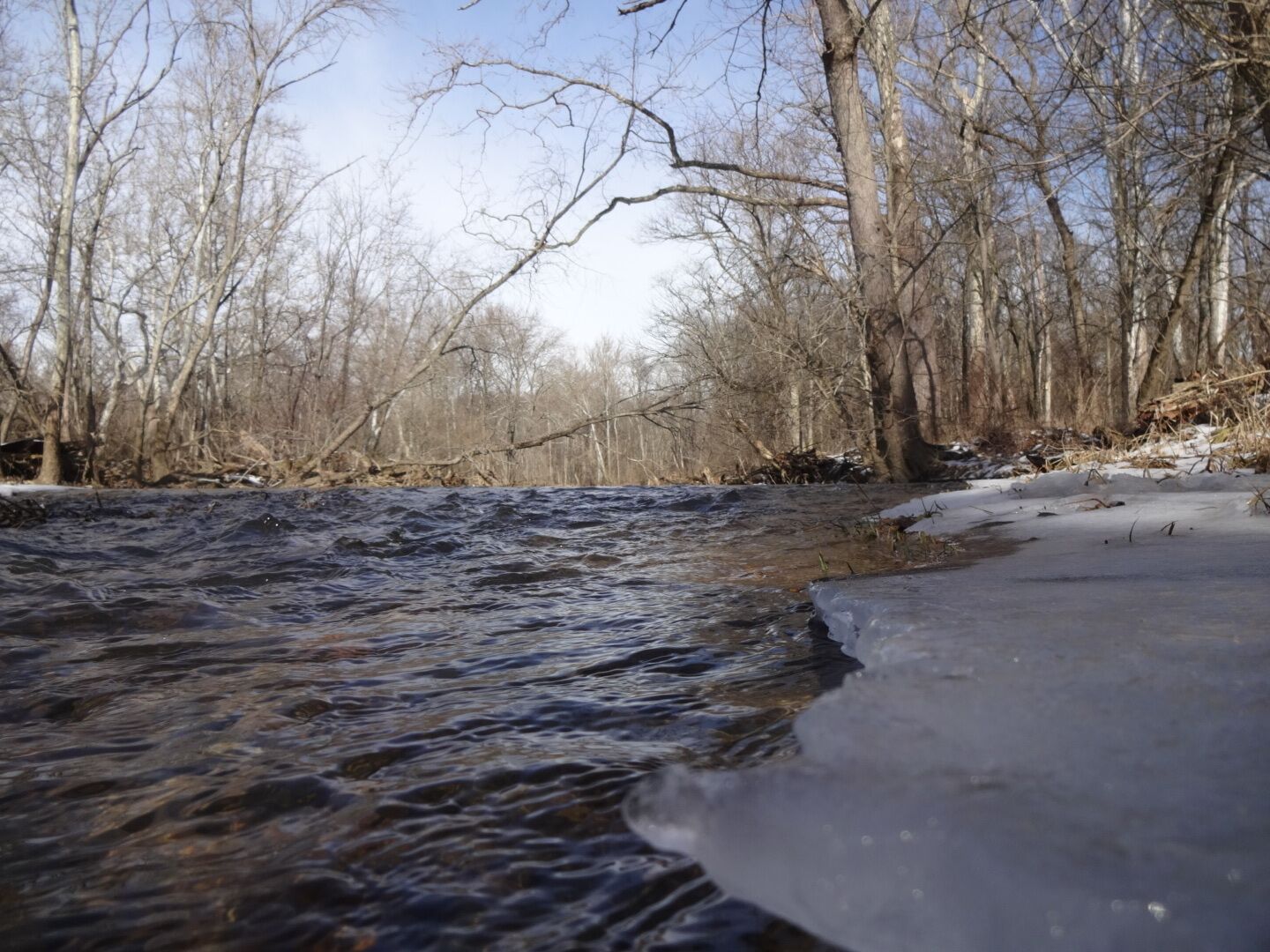 An ice level perspective of the frigid and fast moving waters of the Big Darby Creek along the Sycamore Plains Trails at Prairie Oaks Metropark.

#snow
