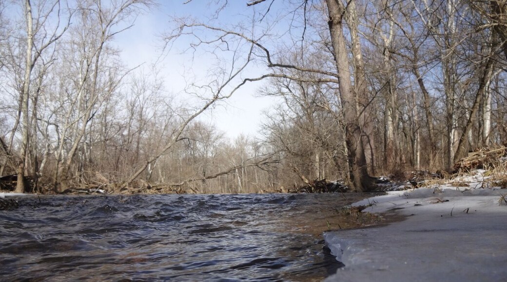 An ice level perspective of the frigid and fast moving waters of the Big Darby Creek along the Sycamore Plains Trails at Prairie Oaks Metropark.
#snow