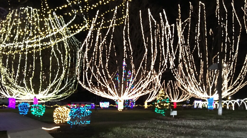 A little park in West Jefferson, OH. Is decorated for the holidays.
#Christmas #lights