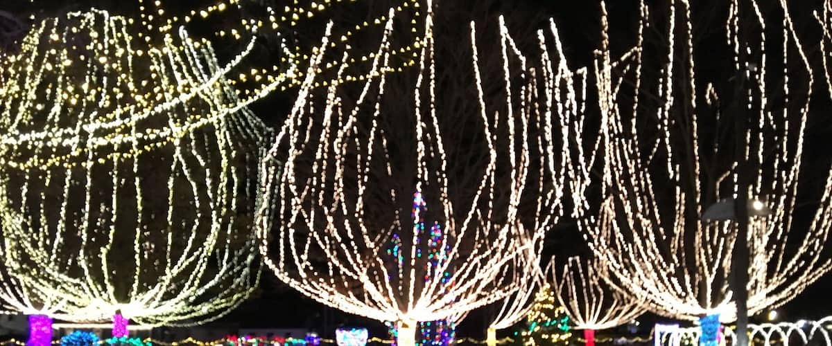 Illuminated trees and colorful decorations in a park at night.