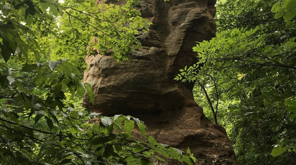This amazing sandstone monolith is a well known icon of a tiny little southern Indiana town called Shoals. It's a natural upright 'table rock' or monolith with a balanced stone on top. Leftover from glacier activity thousands of years ago. It's about 60ft tall and 20ft in diameter. As a child, my family would drive past this often to get to "grandmas house". I'd always beg my dad to stop on the way. It was good to see it again.
#TableRocks
#NaturalHistory
#RoadsideAttractions
#LikeALocal