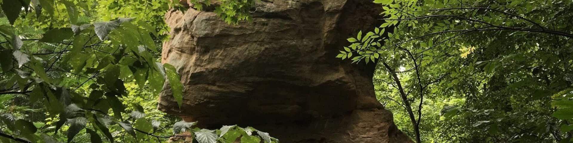 This amazing sandstone monolith is a well known icon of a tiny little southern Indiana town called Shoals. It's a natural upright 'table rock' or monolith with a balanced stone on top. Leftover from glacier activity thousands of years ago. It's about 60ft tall and 20ft in diameter. As a child, my family would drive past this often to get to "grandmas house". I'd always beg my dad to stop on the way. It was good to see it again.
#TableRocks
#NaturalHistory
#RoadsideAttractions
#LikeALocal
