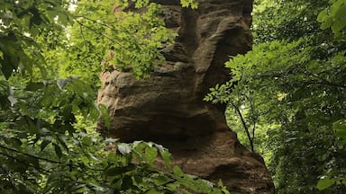 This amazing sandstone monolith is a well known icon of a tiny little southern Indiana town called Shoals. It's a natural upright 'table rock' or monolith with a balanced stone on top. Leftover from glacier activity thousands of years ago. It's about 60ft tall and 20ft in diameter. As a child, my family would drive past this often to get to "grandmas house". I'd always beg my dad to stop on the way. It was good to see it again.
#TableRocks
#NaturalHistory
#RoadsideAttractions
#LikeALocal