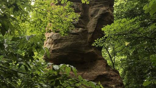 This amazing sandstone monolith is a well known icon of a tiny little southern Indiana town called Shoals. It's a natural upright 'table rock' or monolith with a balanced stone on top. Leftover from glacier activity thousands of years ago. It's about 60ft tall and 20ft in diameter. As a child, my family would drive past this often to get to "grandmas house". I'd always beg my dad to stop on the way. It was good to see it again.
#TableRocks
#NaturalHistory
#RoadsideAttractions
#LikeALocal