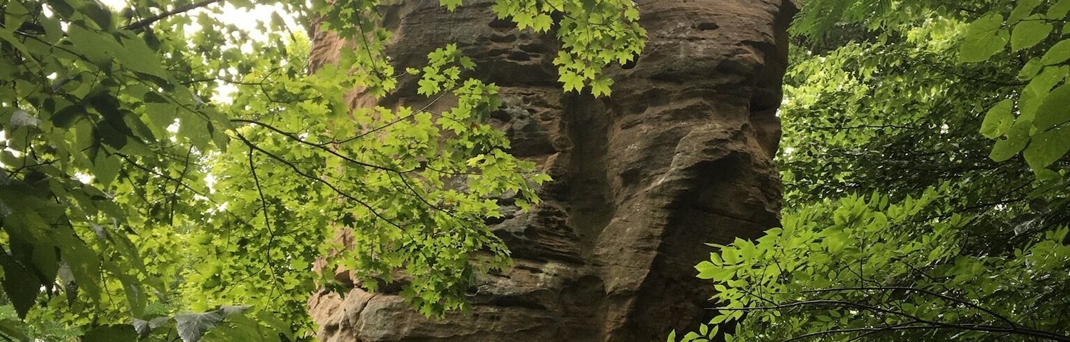 This amazing sandstone monolith is a well known icon of a tiny little southern Indiana town called Shoals. It's a natural upright 'table rock' or monolith with a balanced stone on top. Leftover from glacier activity thousands of years ago. It's about 60ft tall and 20ft in diameter. As a child, my family would drive past this often to get to "grandmas house". I'd always beg my dad to stop on the way. It was good to see it again.
#TableRocks
#NaturalHistory
#RoadsideAttractions
#LikeALocal