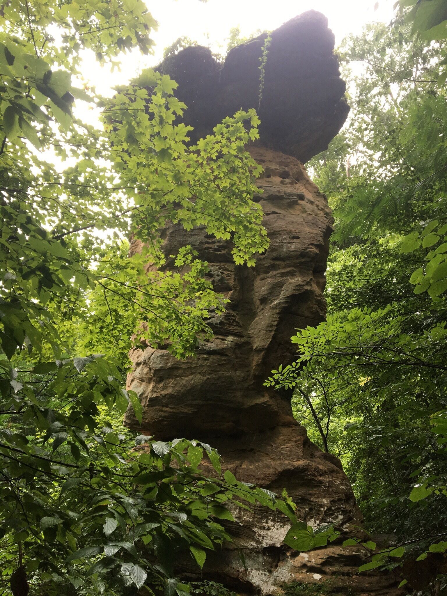 A large rock formation surrounded by dense green foliage.