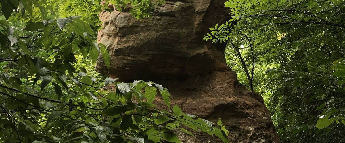 A large rock formation surrounded by dense green foliage.