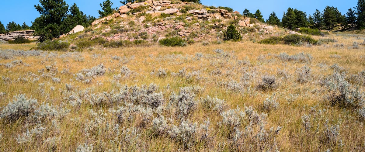 Una zona de pastura seca amb arbustos dispersos i un turó rocós al fons.