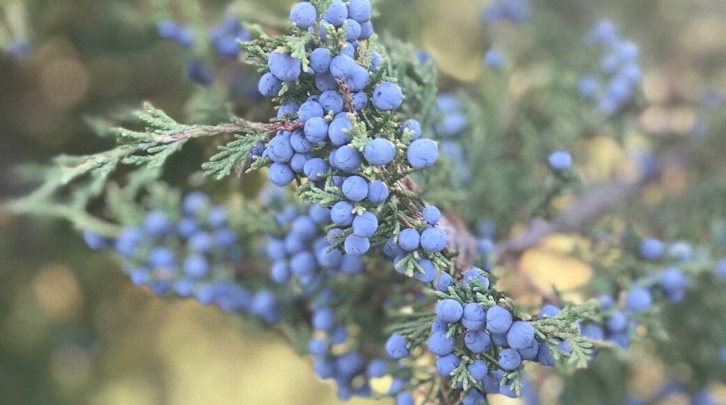 A walk with nature reveals many things.