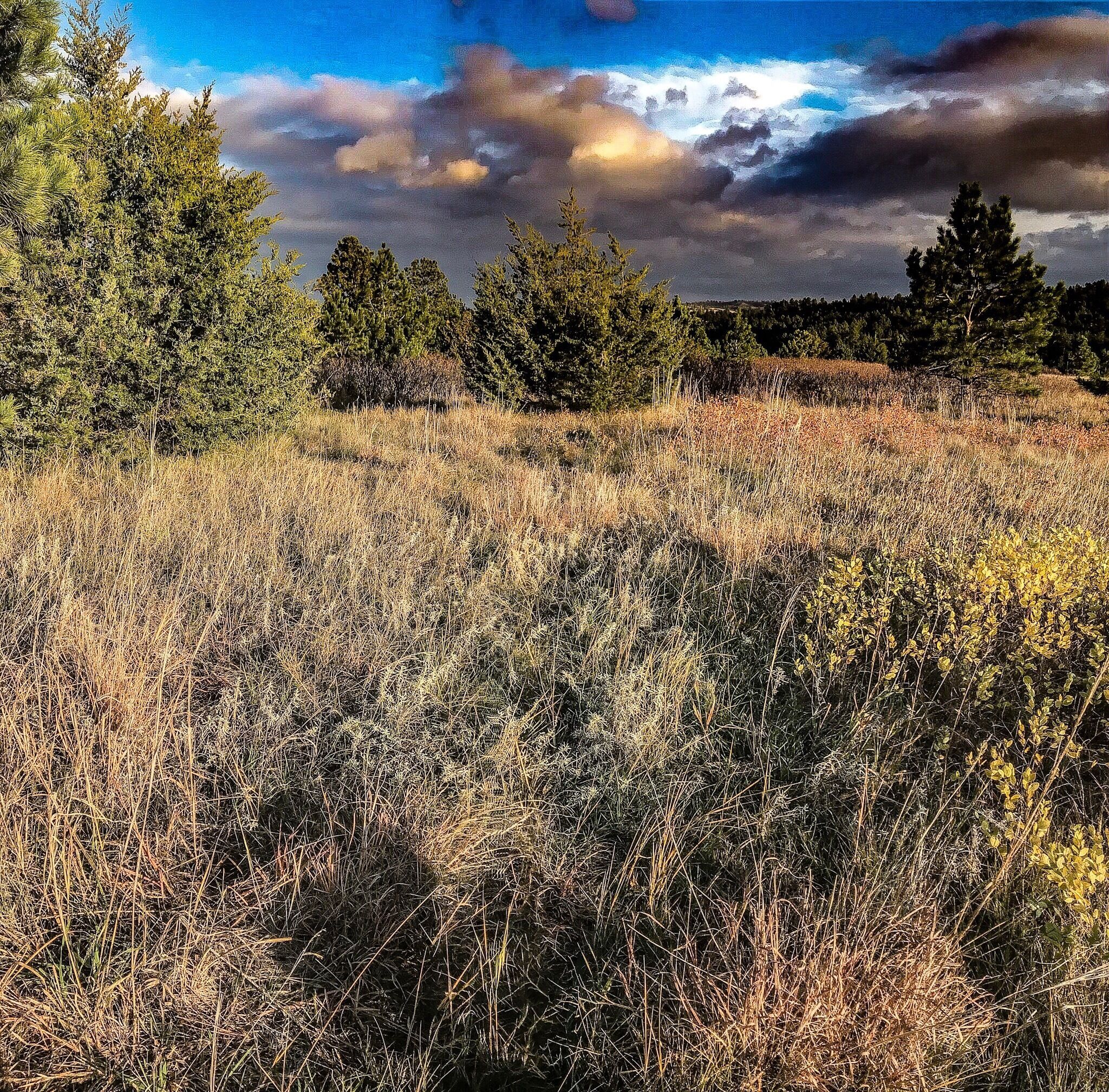 Hiking on the backside of the property. Acre upon acre of beautiful land waiting to be walked

Rosebud Indian Reservation 