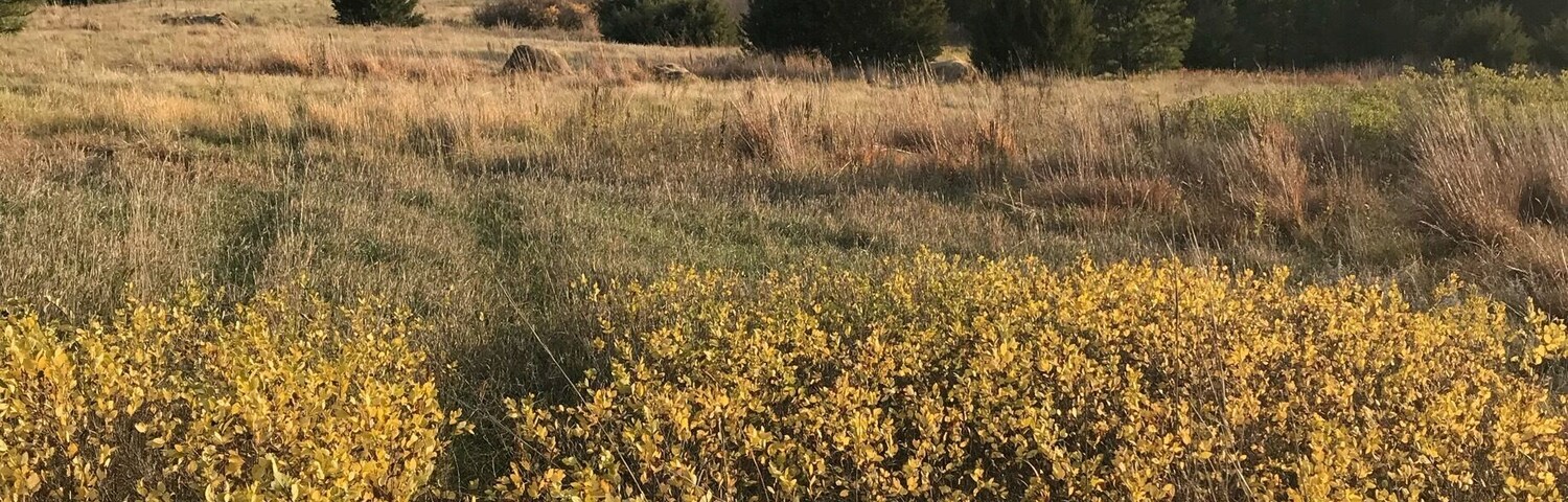 Look deep into nature, and then you will understand everything better. ~Albert Einstein