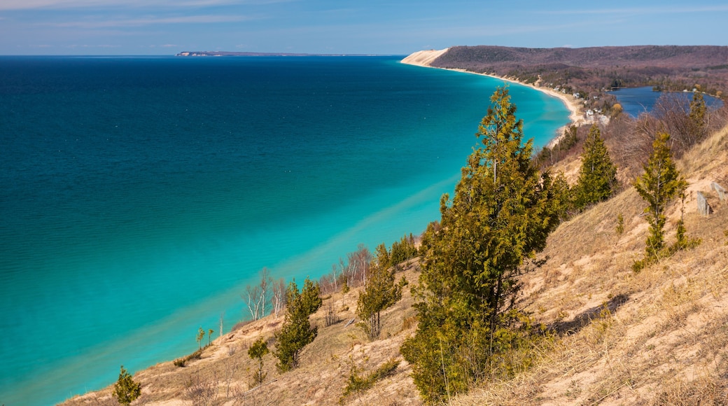 Lake Michigan Beach