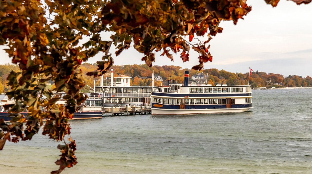 An autumn tree and tour boats at the pier on Lake Geneva, Wisconsin.