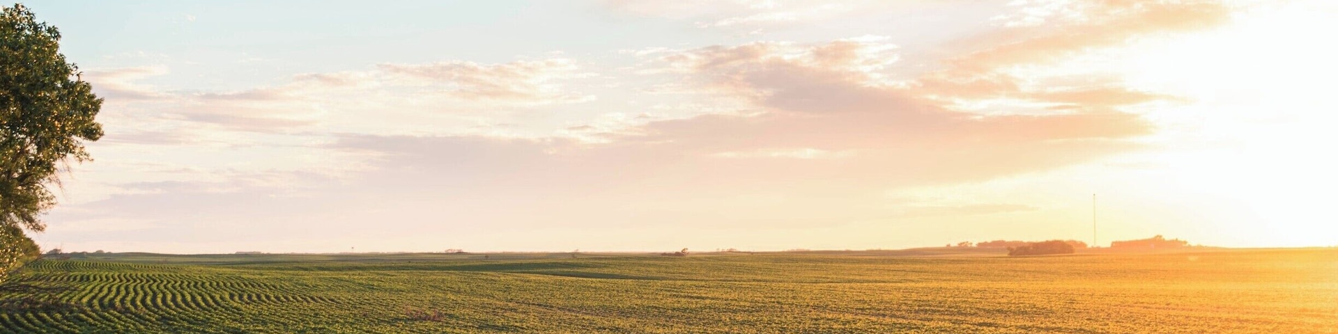 It has taken me the better part of ten years to fall in love with North Dakota and be proud to call it home.  In the summer, ND is beautiful, flat treeless, and you can see forever.
#paterns