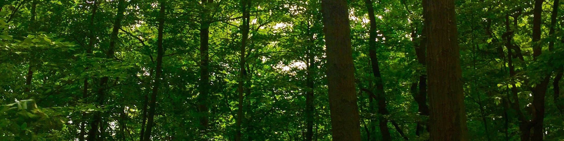 Quiet getaway only an hour from Chicago