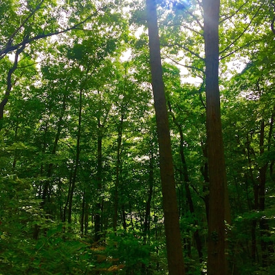 Quiet getaway only an hour from Chicago