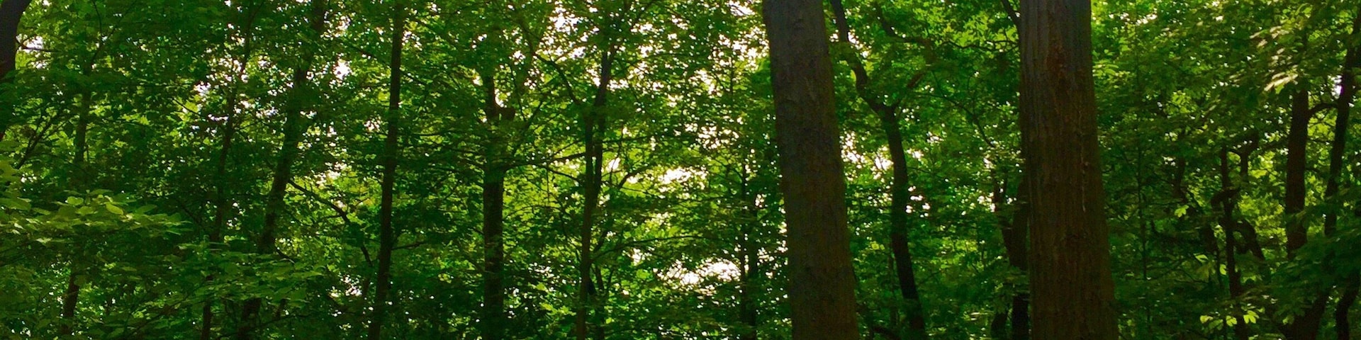 Quiet getaway only an hour from Chicago