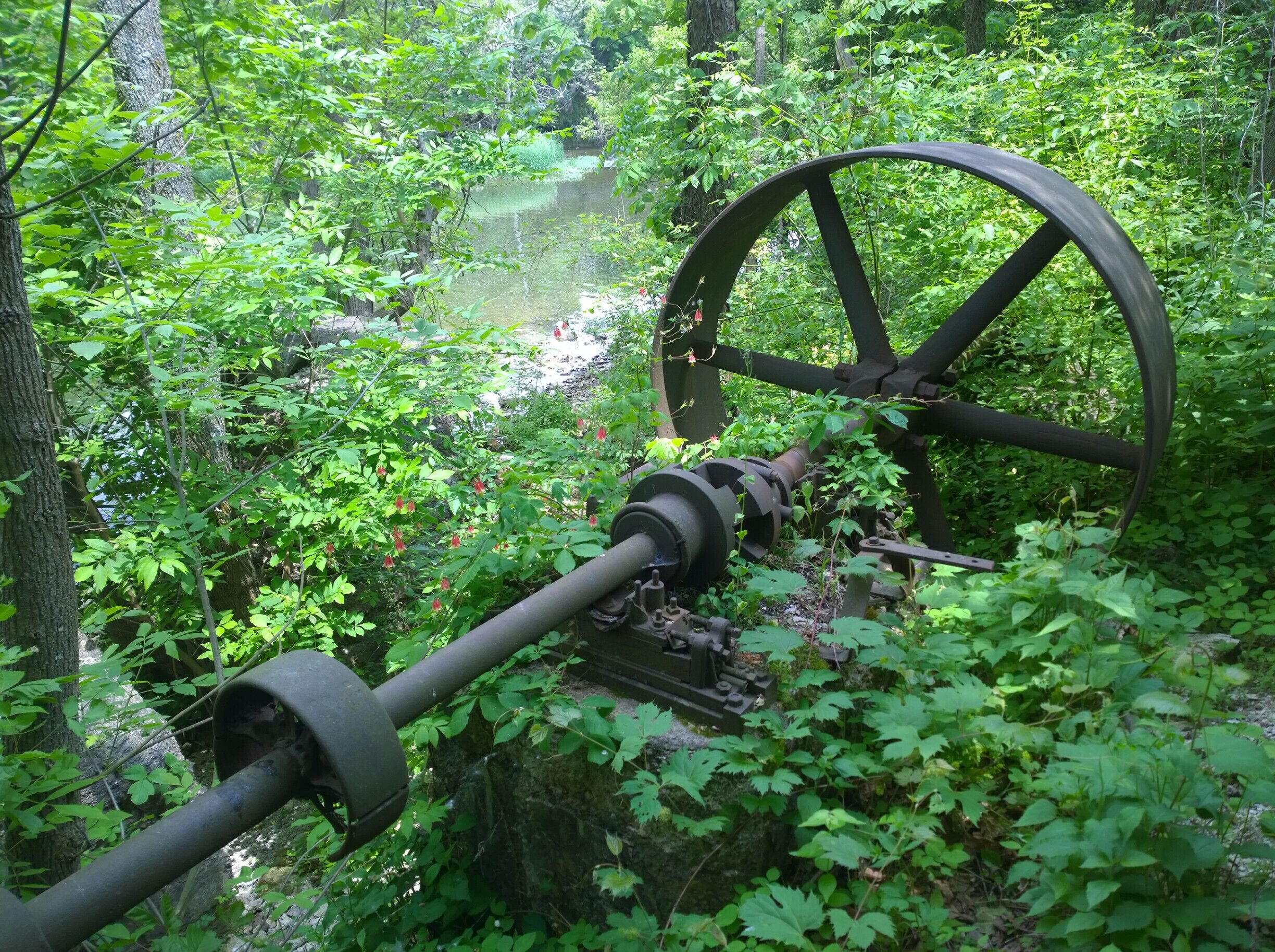 Greenville Falls State Scenic River Area contains the historic remains of one of Ohio's first hydro electric plants, an old wooden dam, an ice house and a sluice gate. 