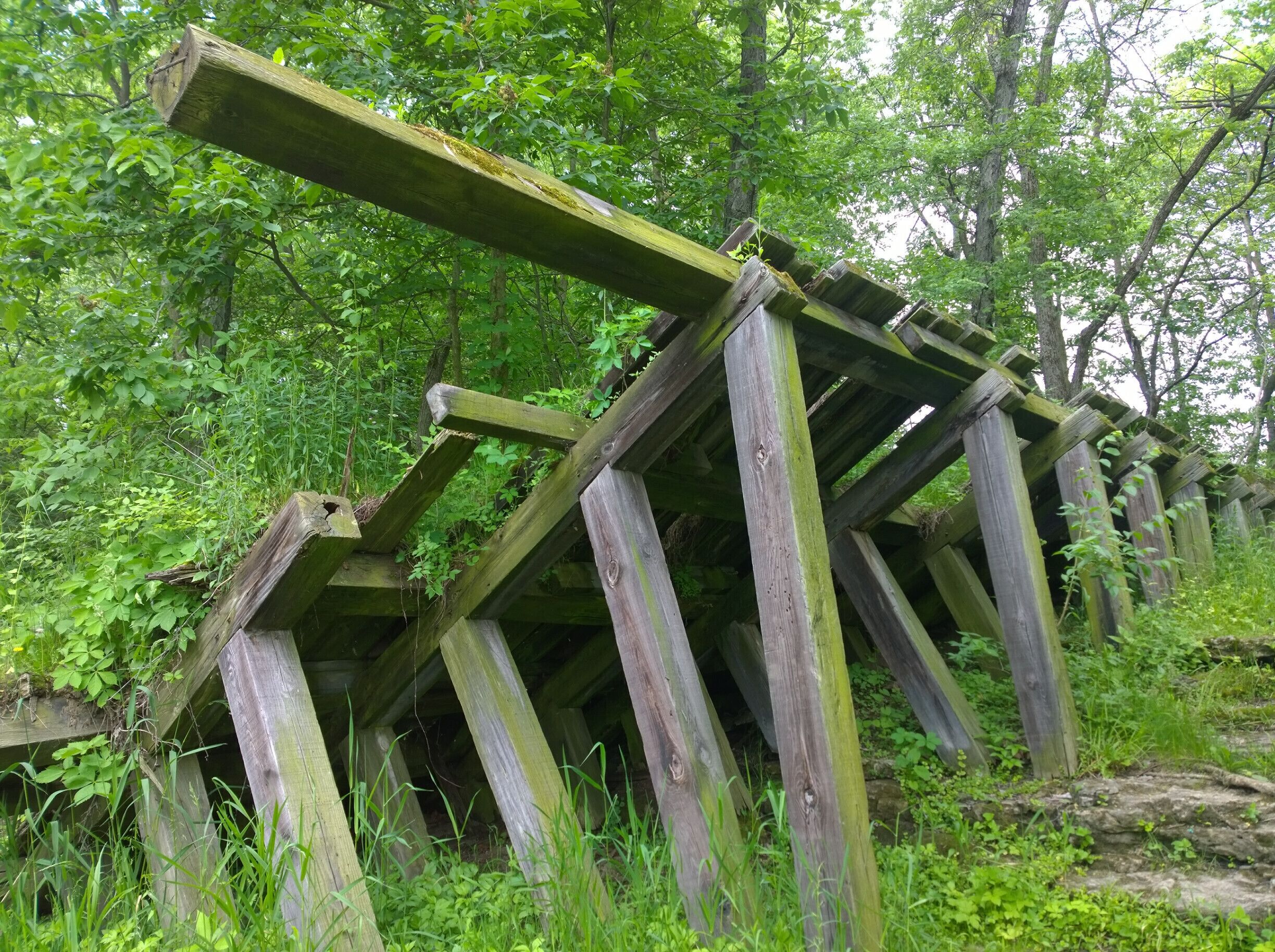 Greenville Falls State Scenic River Area contains the historic remains of one of Ohio's first hydro electric plants, an old wooden dam, an ice house and a sluice gate. 