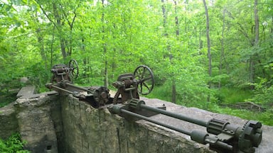 Greenville Falls State Scenic River Area contains the historic remains of one of Ohio's first hydro electric plants, an old wooden dam, an ice house and a sluice gate.