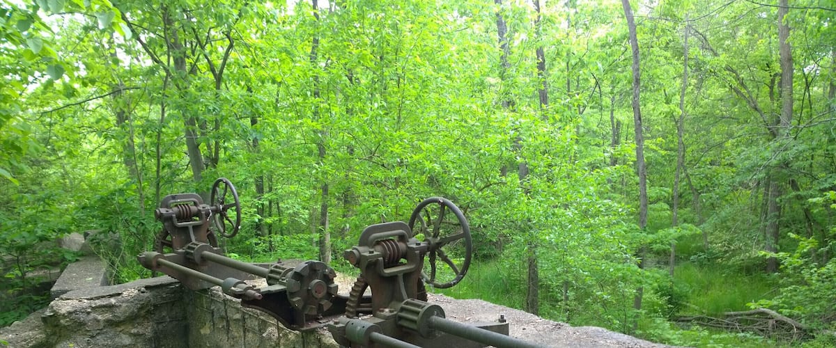 A large cannon mounted on a stone wall in a forested area.