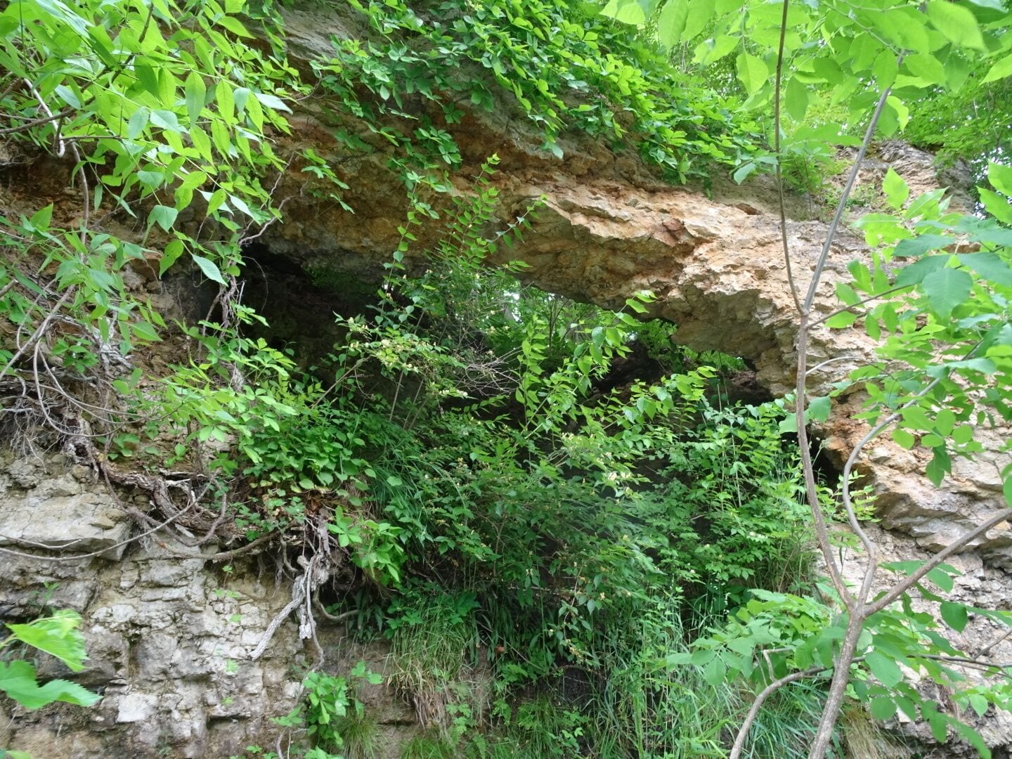Greenville Falls State Scenic River Area is a 92-acre park on either side of Greenville creek with a 20-foot cascading fall and natural limestone arch.