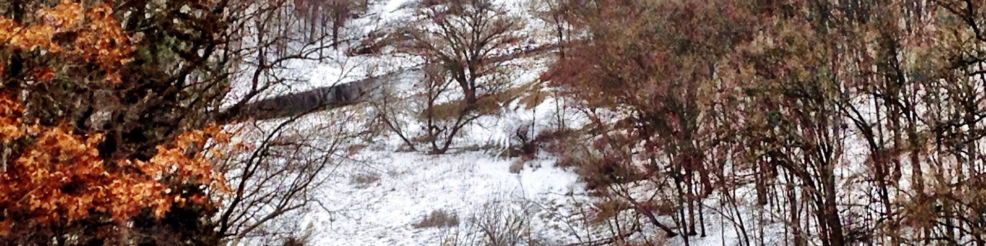 This is a rest area along the interstate in Minnesota.